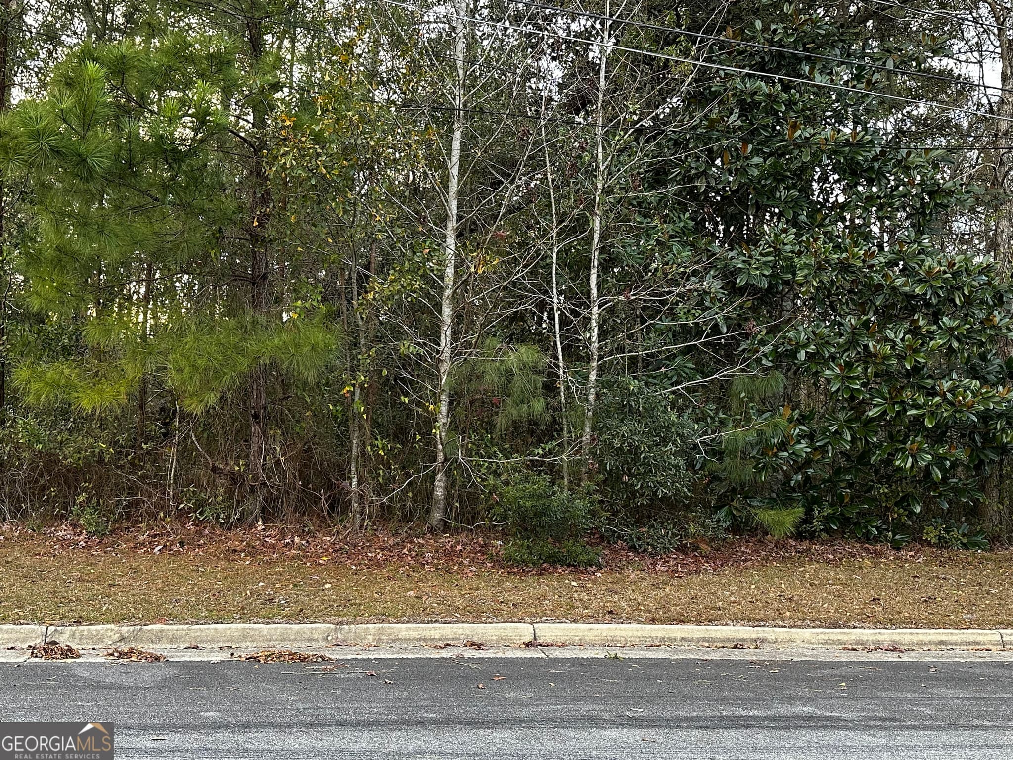 unimproved land for sale at 0 Marcia Avenue, Thomasville, GA 31792 — photo 3