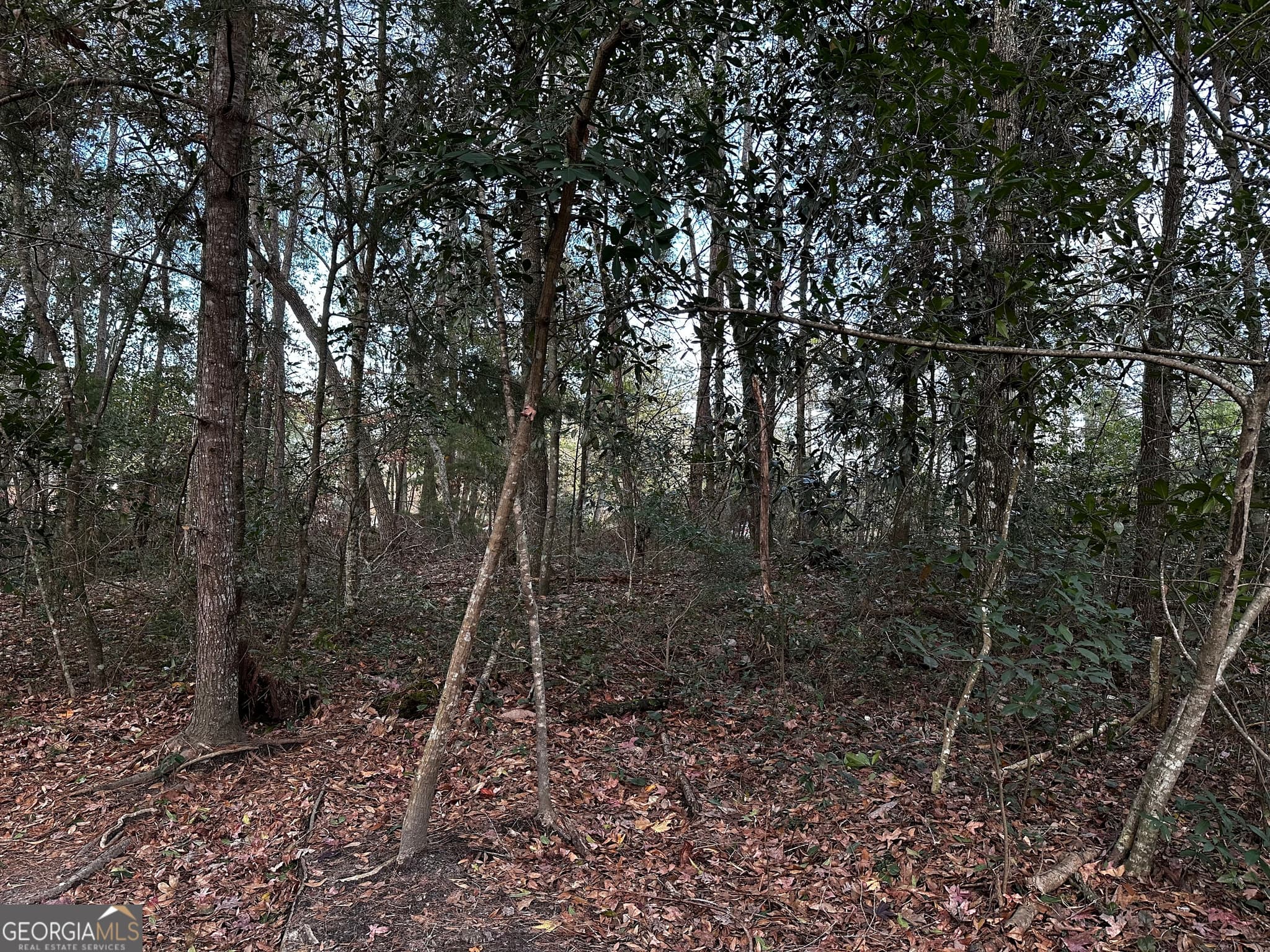 unimproved land for sale at 0 Marcia Avenue, Thomasville, GA 31792