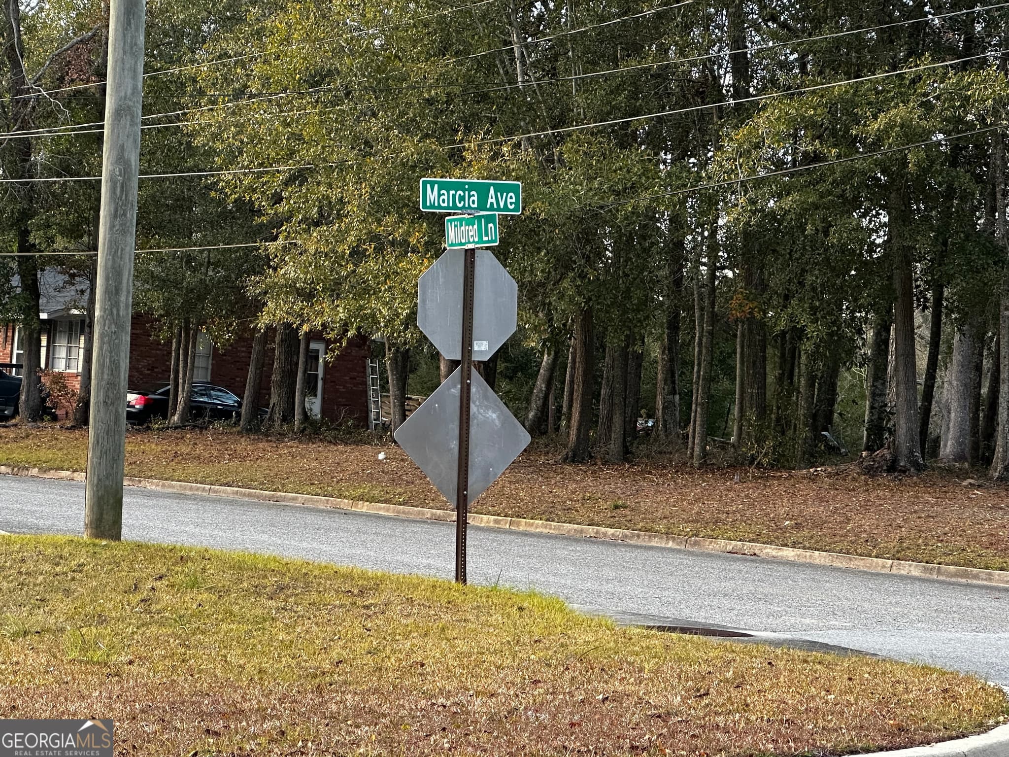 unimproved land for sale at 0 Marcia Avenue, Thomasville, GA 31792 — photo 4