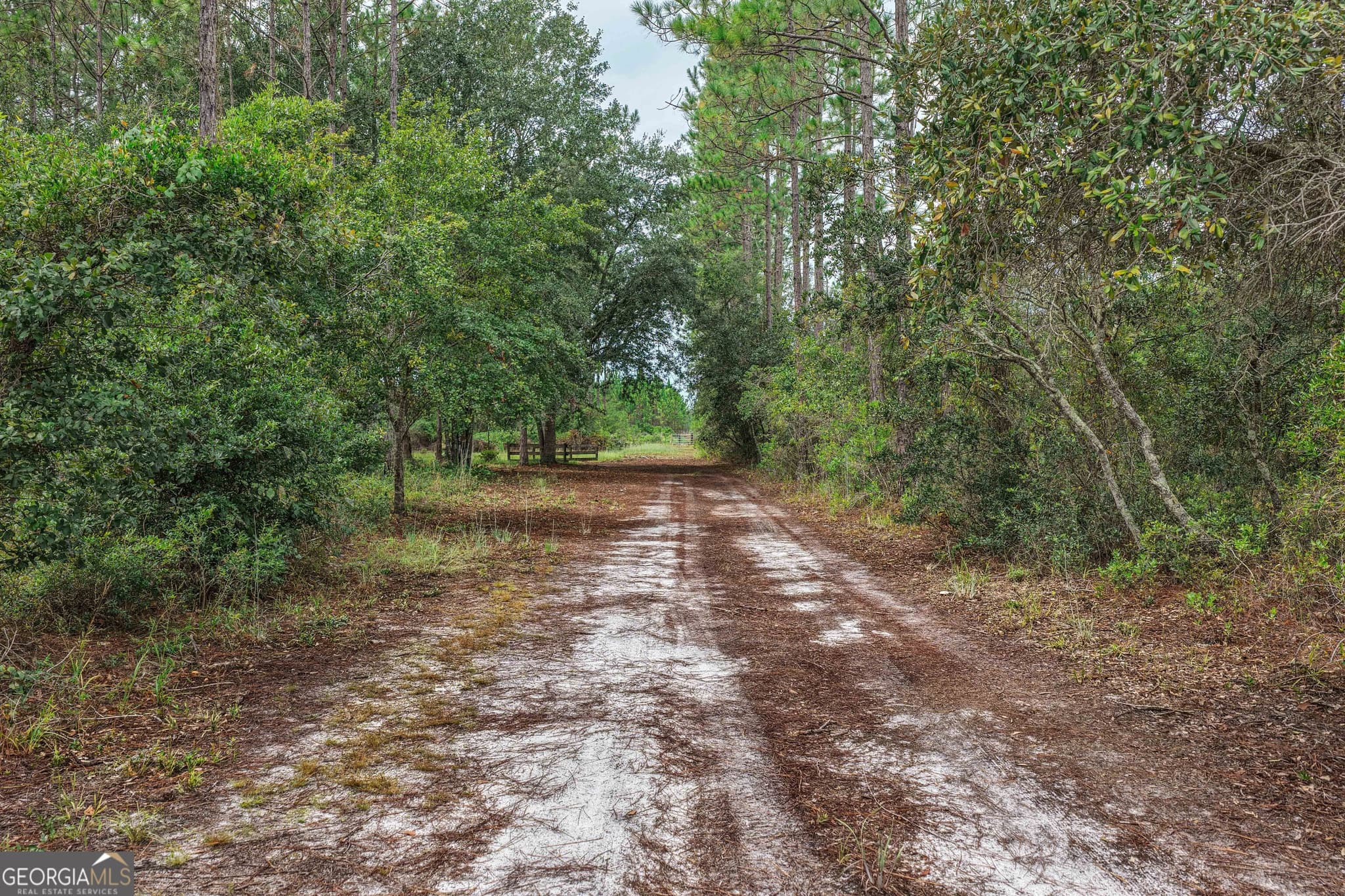 agriculture for sale at 6642 Old Moniac Road, St. George, GA 31562 — photo 3