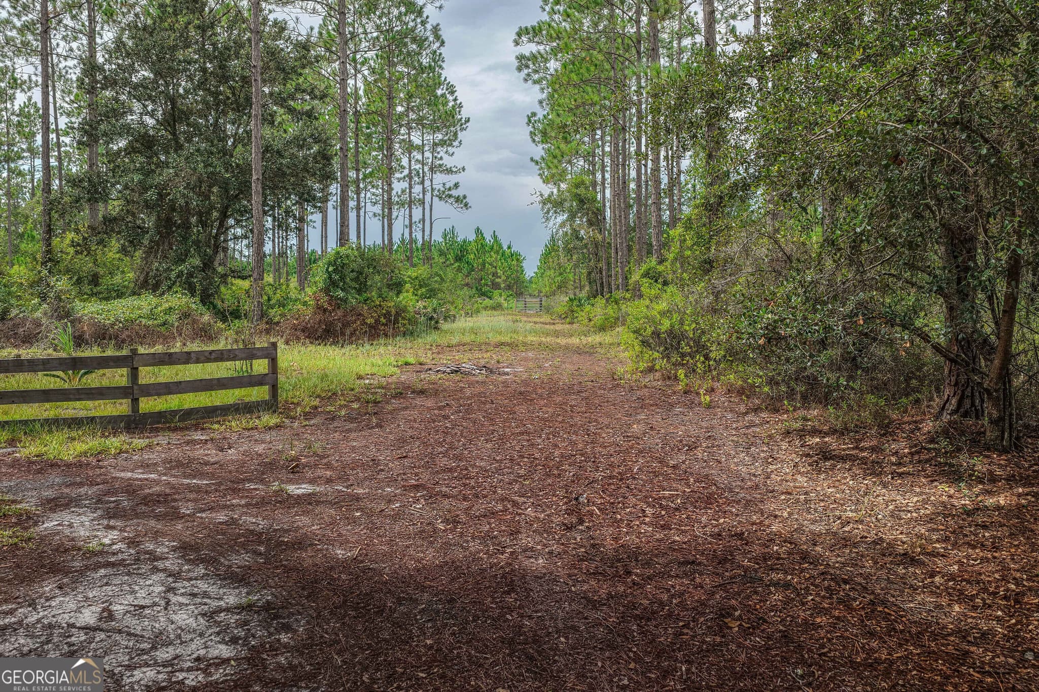 agriculture for sale at 6642 Old Moniac Road, St. George, GA 31562 — photo 5