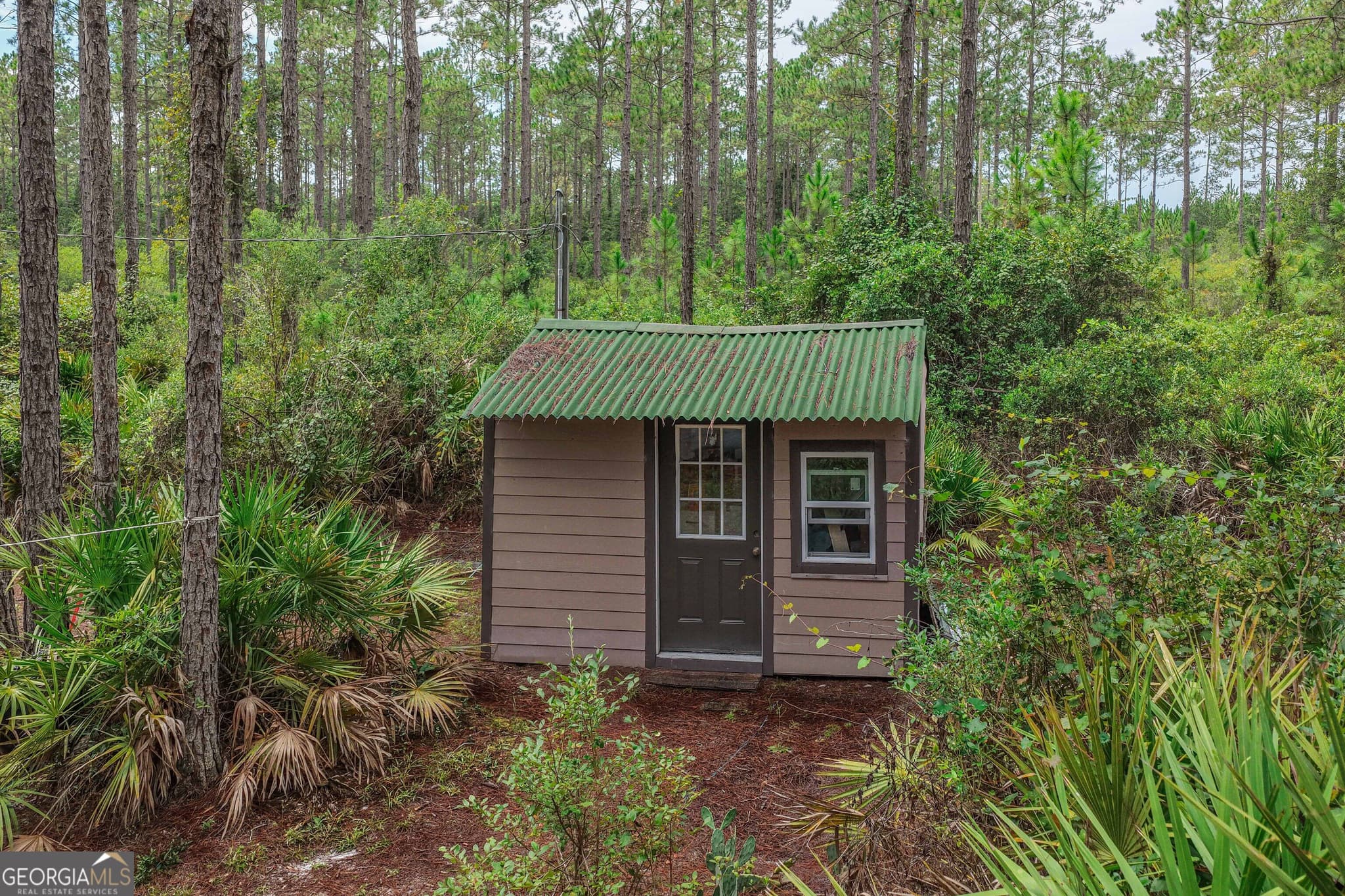 agriculture for sale at 6642 Old Moniac Road, St. George, GA 31562 — photo 9