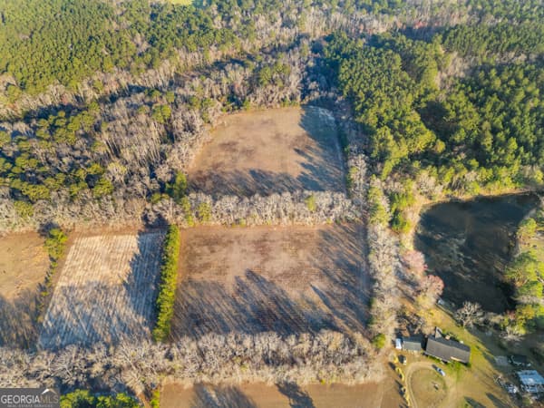 residential lot for sale at 0 Maria Sorrell Road, Statesboro, GA 30461 — photo 5