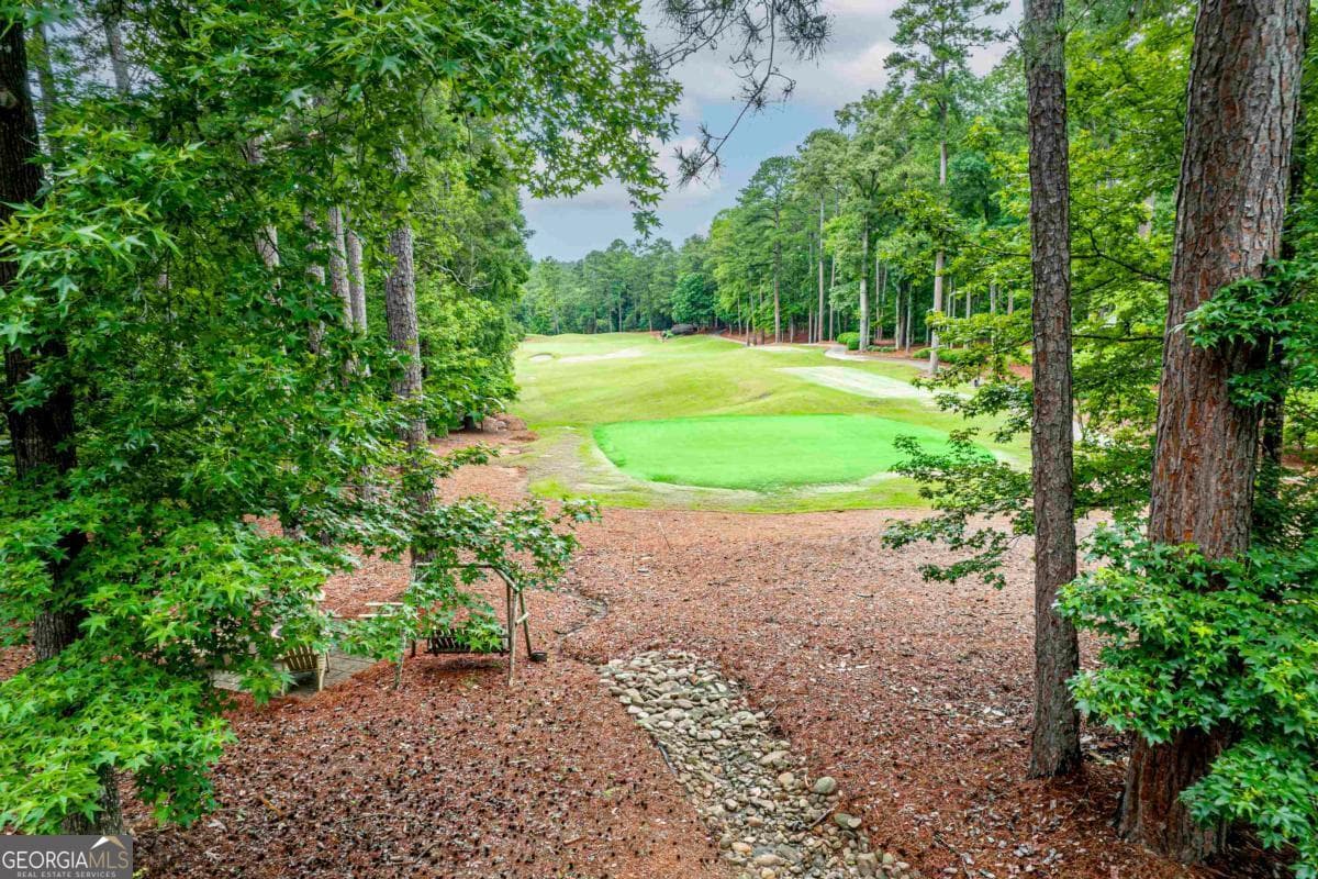 4 bedroom, 5 bathroom, 5,498 sq ft single family residence for sale at 1051 Cawthorne Lane, Greensboro, GA 30642 — photo 6
