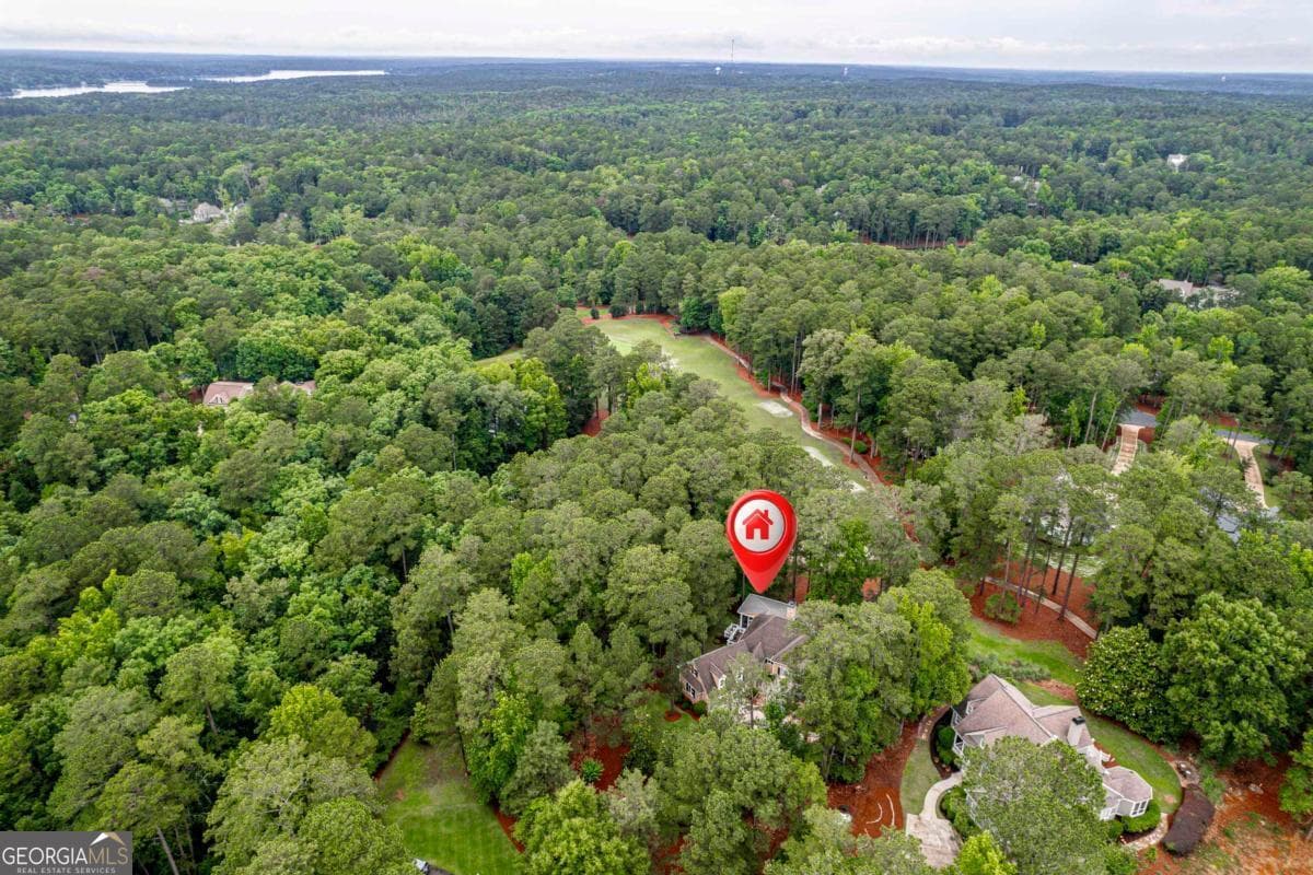 4 bedroom, 5 bathroom, 5,498 sq ft single family residence for sale at 1051 Cawthorne Lane, Greensboro, GA 30642 — photo 5