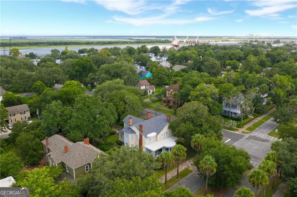 4 bedroom, 4.5 bathroom, 4,498 sq ft single family residence for sale at 827 Union Street, Brunswick, GA 31520 — photo 6