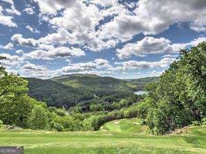 residential lot for sale at 0 Bent Grass Way, Clayton, GA 30525 — photo 7