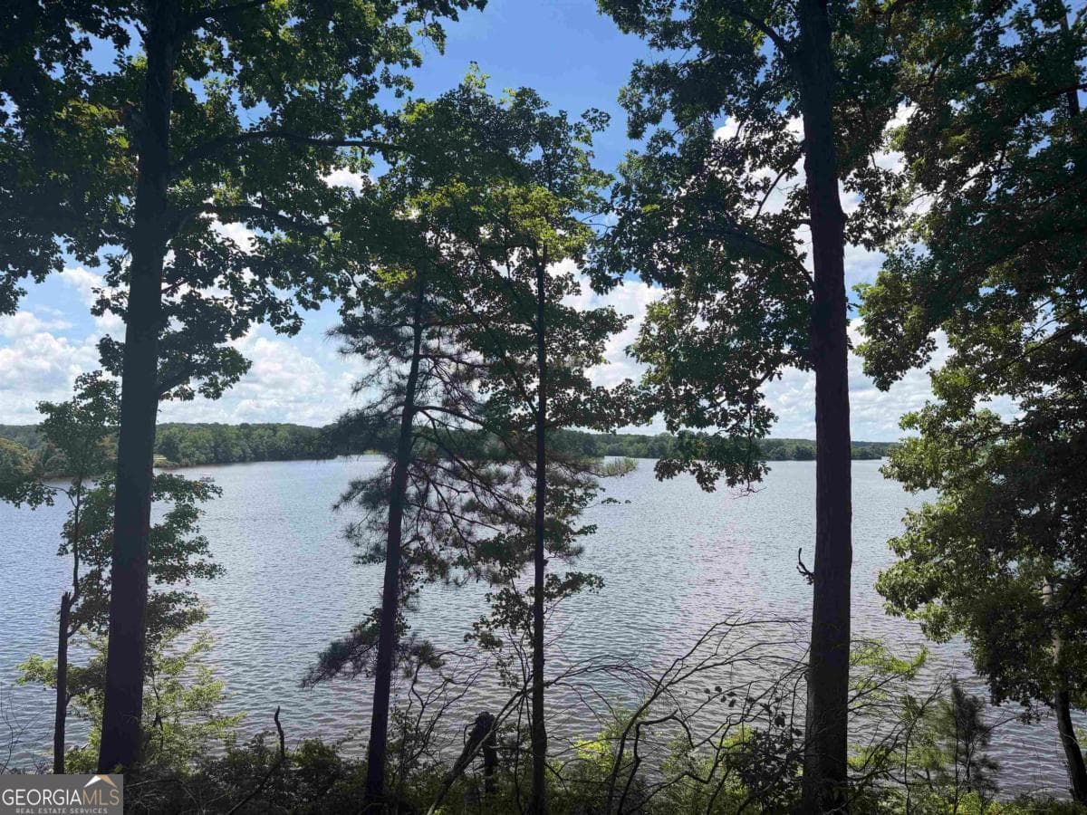 residential lot for sale at 1595 Pullman Lane, Greensboro, GA 30642 — photo 2