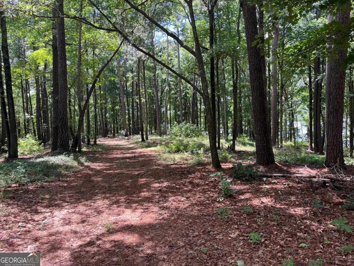 residential lot for sale at 1595 Pullman Lane, Greensboro, GA 30642 — photo 3
