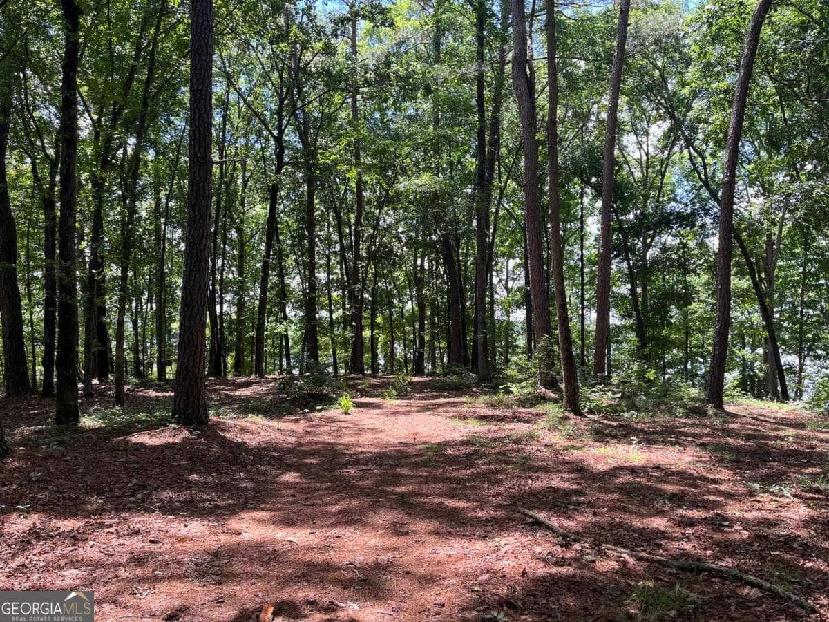 residential lot for sale at 1595 Pullman Lane, Greensboro, GA 30642 — photo 5