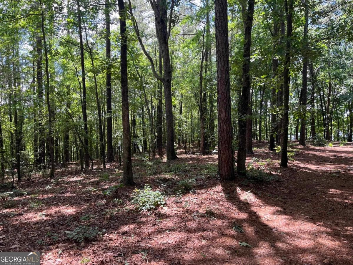 residential lot for sale at 1595 Pullman Lane, Greensboro, GA 30642 — photo 4