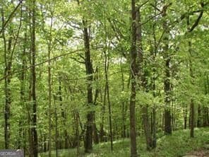 residential lot for sale at 141 Fort Wayne Court, Waleska, GA 30183 — photo 1 of 16