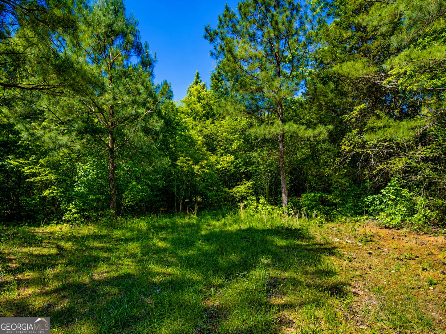 residential lot for sale at 4.13 ACRES Bronco Road, Lafayette, GA 30728 — photo 6