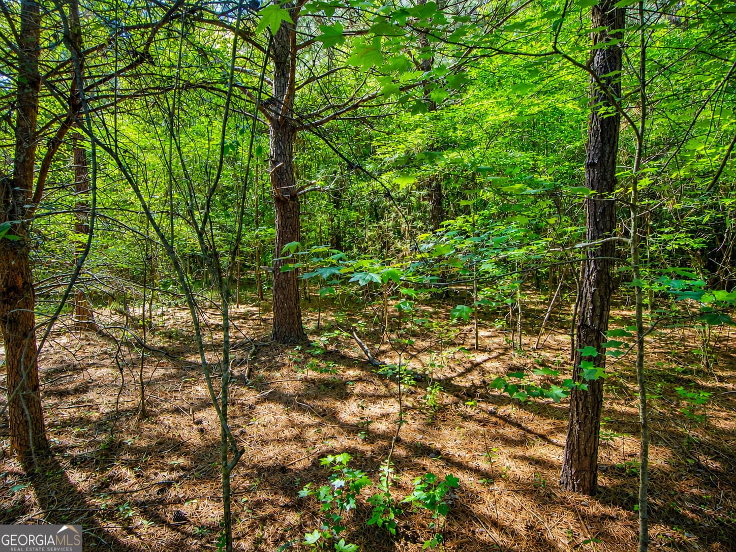 residential lot for sale at 4.13 ACRES Bronco Road, Lafayette, GA 30728 — photo 7