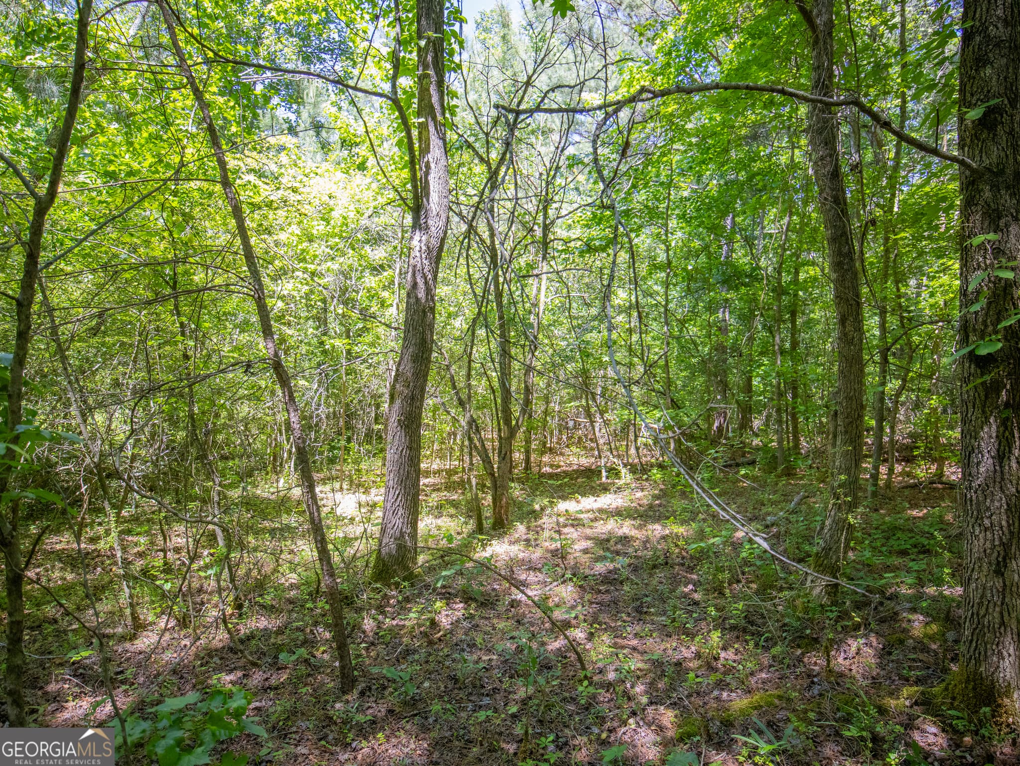 residential lot for sale at 4.13 ACRES Bronco Road, Lafayette, GA 30728 — photo 5