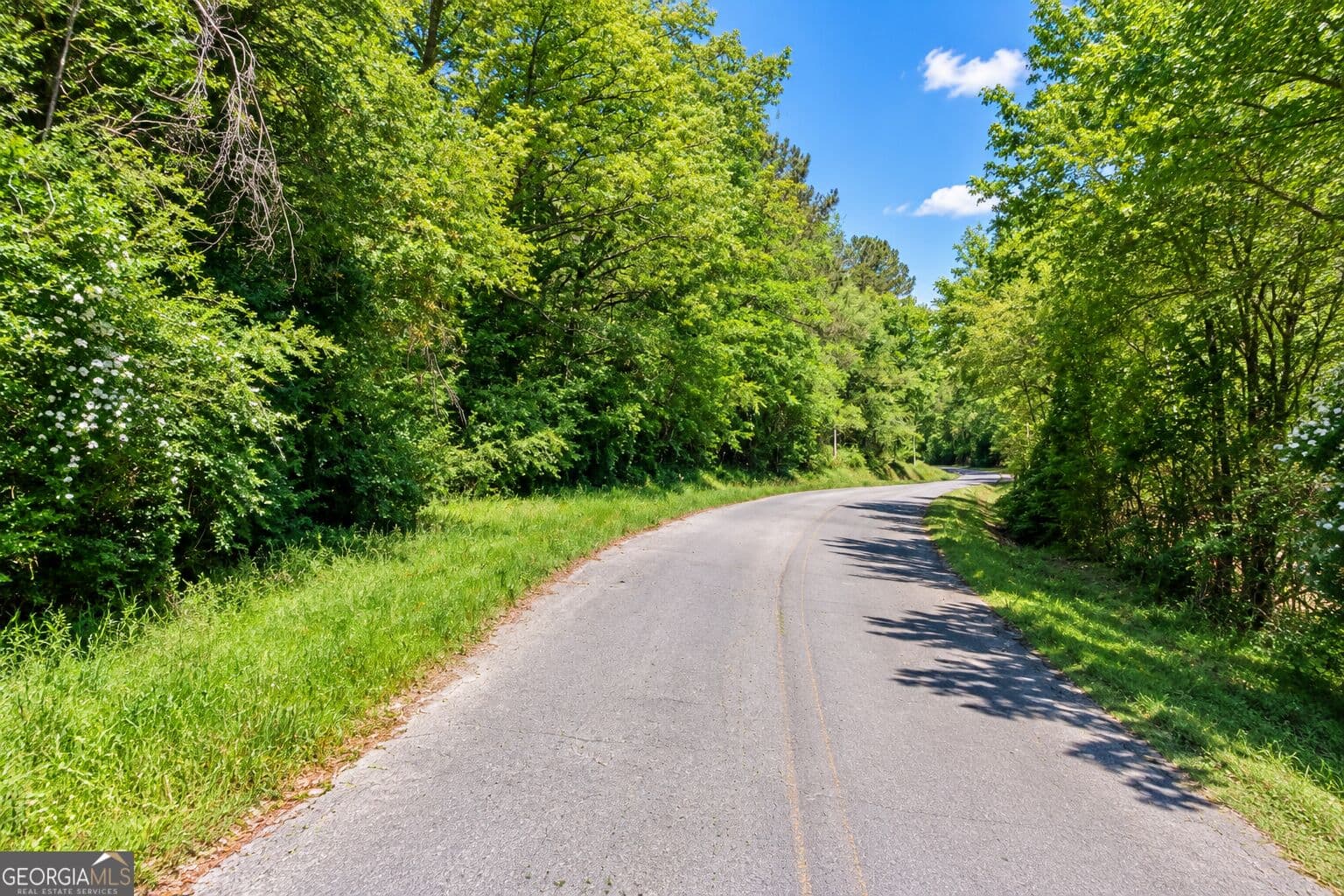 residential lot for sale at 4.13 ACRES Bronco Road, Lafayette, GA 30728 — photo 9