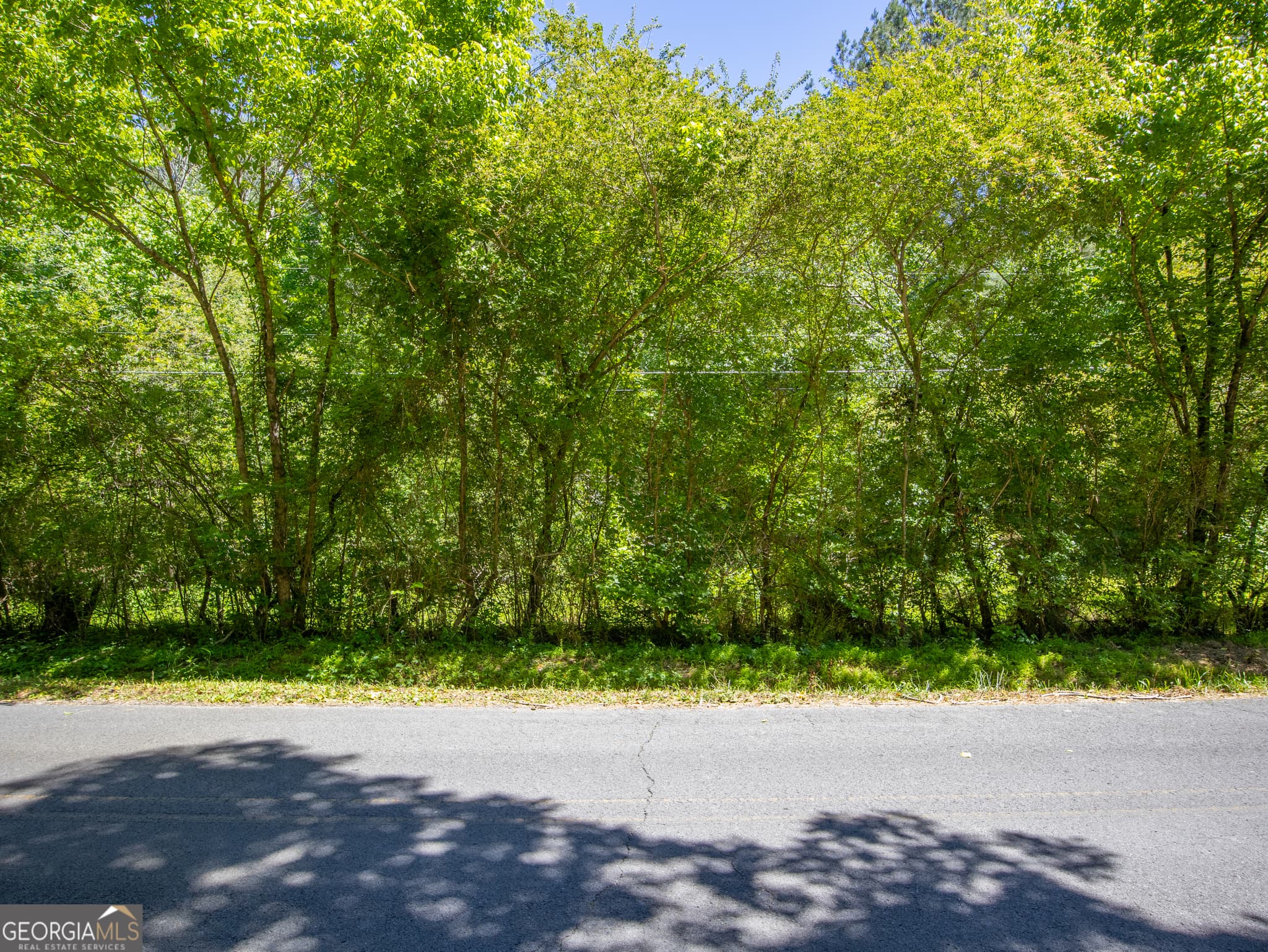 residential lot for sale at 4.13 ACRES Bronco Road, Lafayette, GA 30728 — photo 10