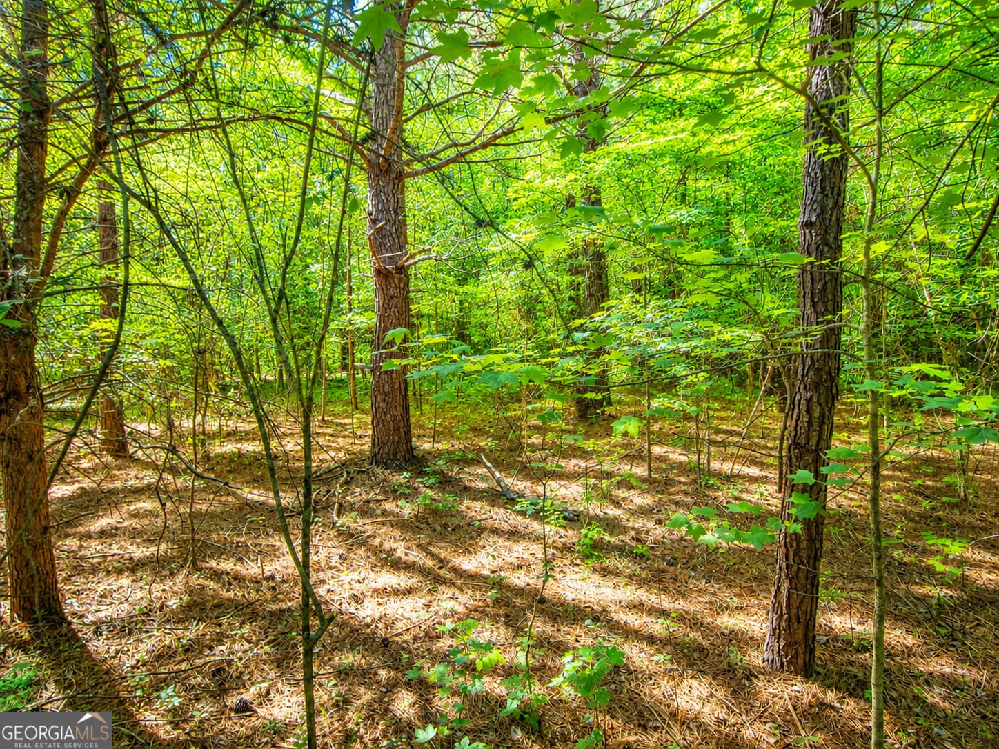 residential lot for sale at 4.13 ACRES Bronco Road, Lafayette, GA 30728 — photo 4