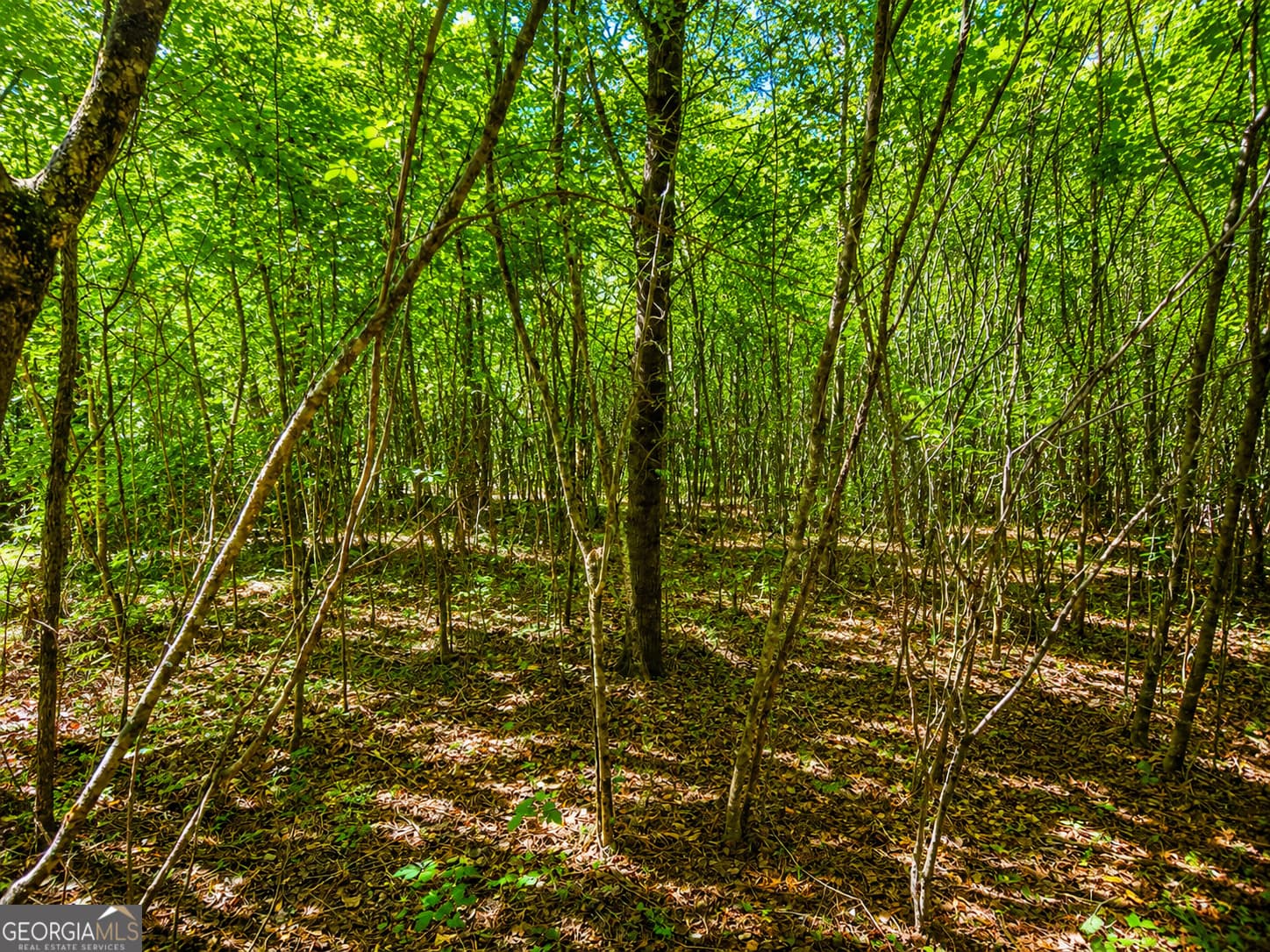 residential lot for sale at 4.13 ACRES Bronco Road, Lafayette, GA 30728 — photo 8