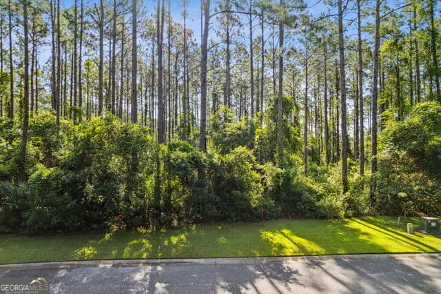 residential lot for sale at 0 Green Buoy Court, St. Marys, GA 31558 — photo 2