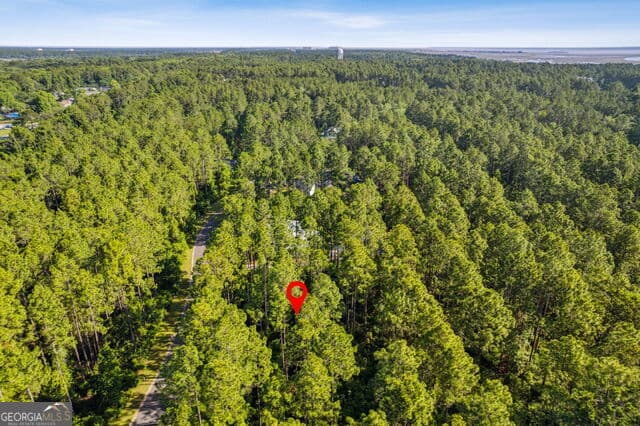 residential lot for sale at 0 Green Buoy Court, St. Marys, GA 31558 — photo 6