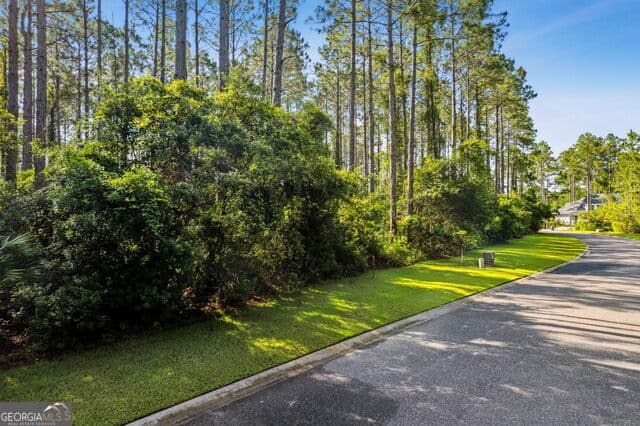 residential lot for sale at 0 Green Buoy Court, St. Marys, GA 31558 — photo 3