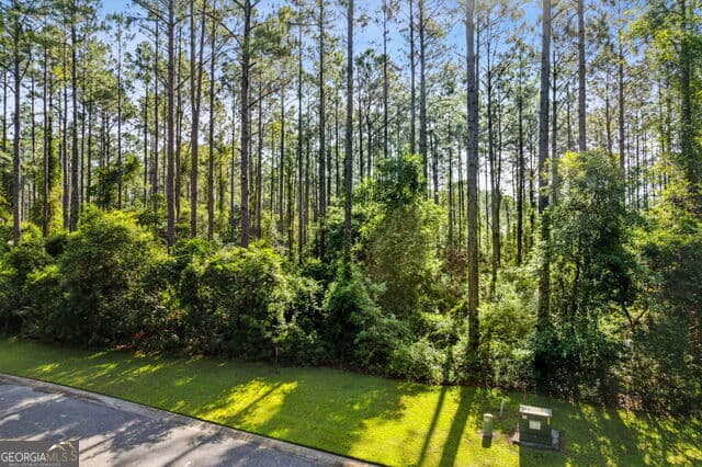 residential lot for sale at 0 Green Buoy Court, St. Marys, GA 31558 — photo 4