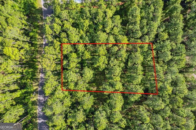 residential lot for sale at 0 Green Buoy Court, St. Marys, GA 31558 — photo 8