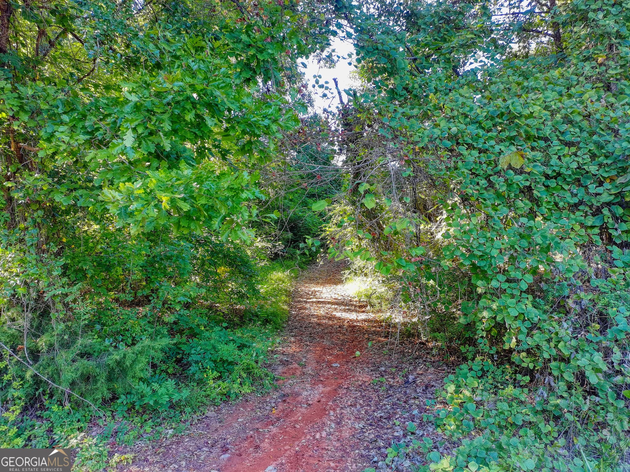 residential lot for sale at 0 Fob James Drive, Valley, AL 36854 — photo 7