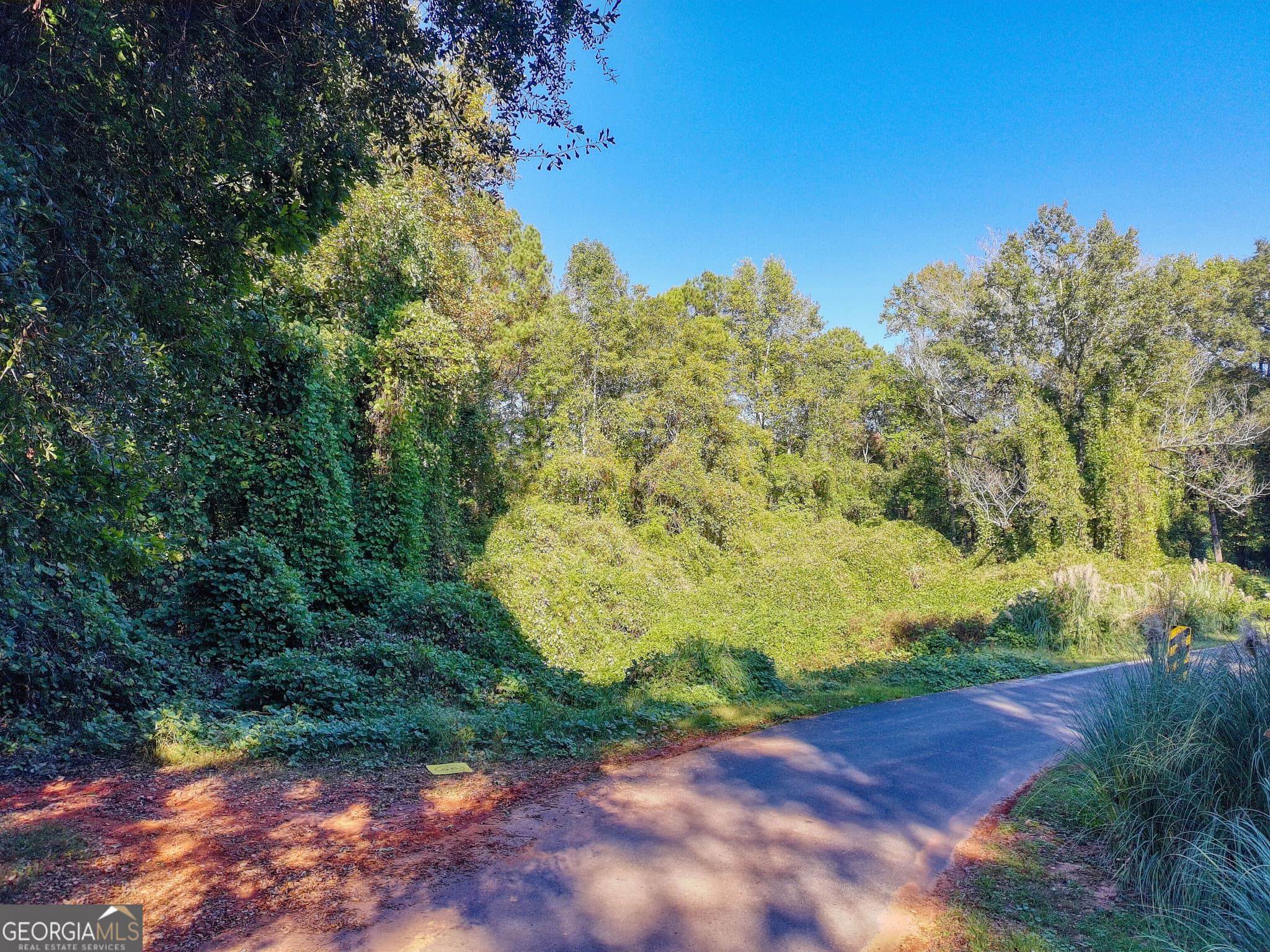residential lot for sale at 0 Fob James Drive, Valley, AL 36854 — photo 8