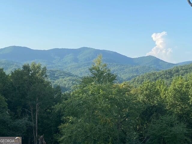 4 bedroom, 4.5 bathroom, 3,692 sq ft single family residence for sale at 804 Settlers Ridge Road, Ellijay, GA 30540 — photo 5