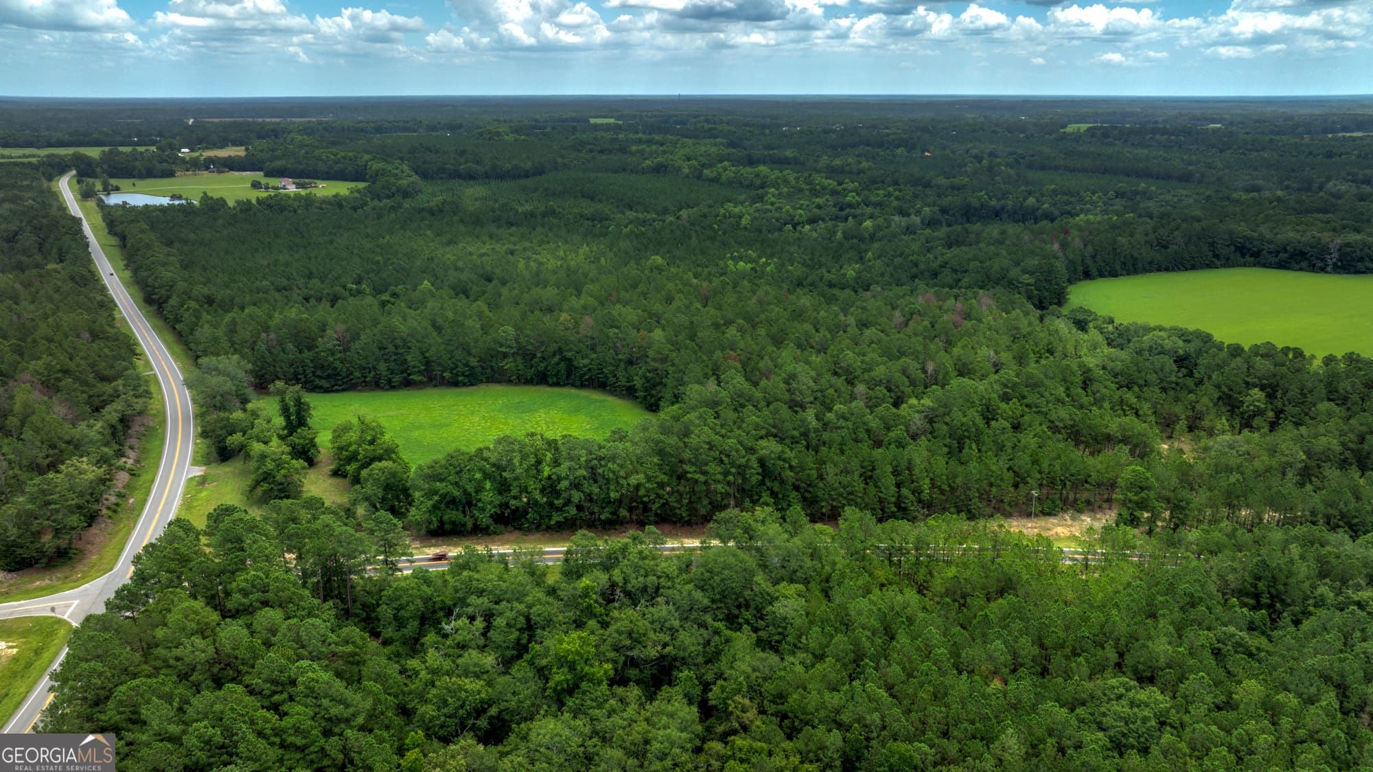 agriculture for sale at 0 GA Highway 169, Claxton, GA 30417 — photo 2