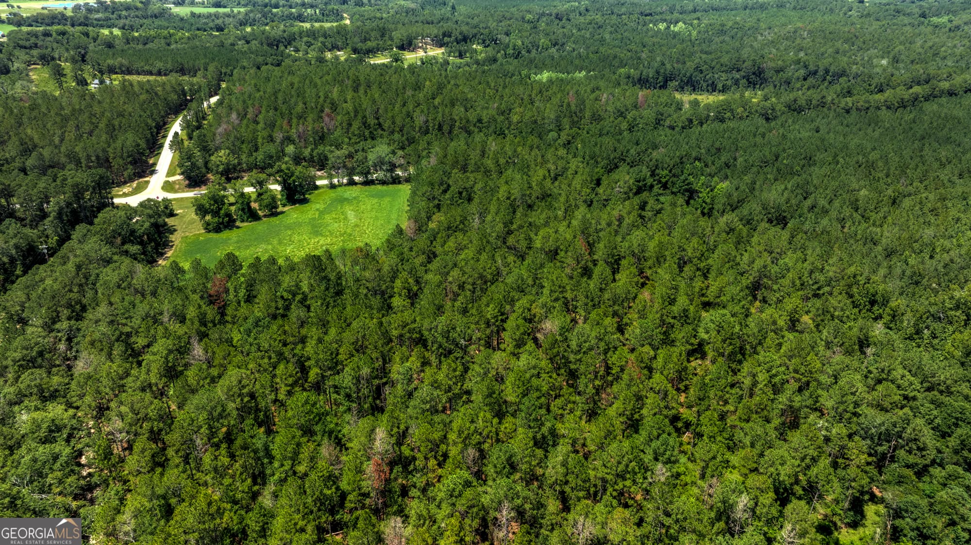 agriculture for sale at 0 GA Highway 169, Claxton, GA 30417 — photo 6