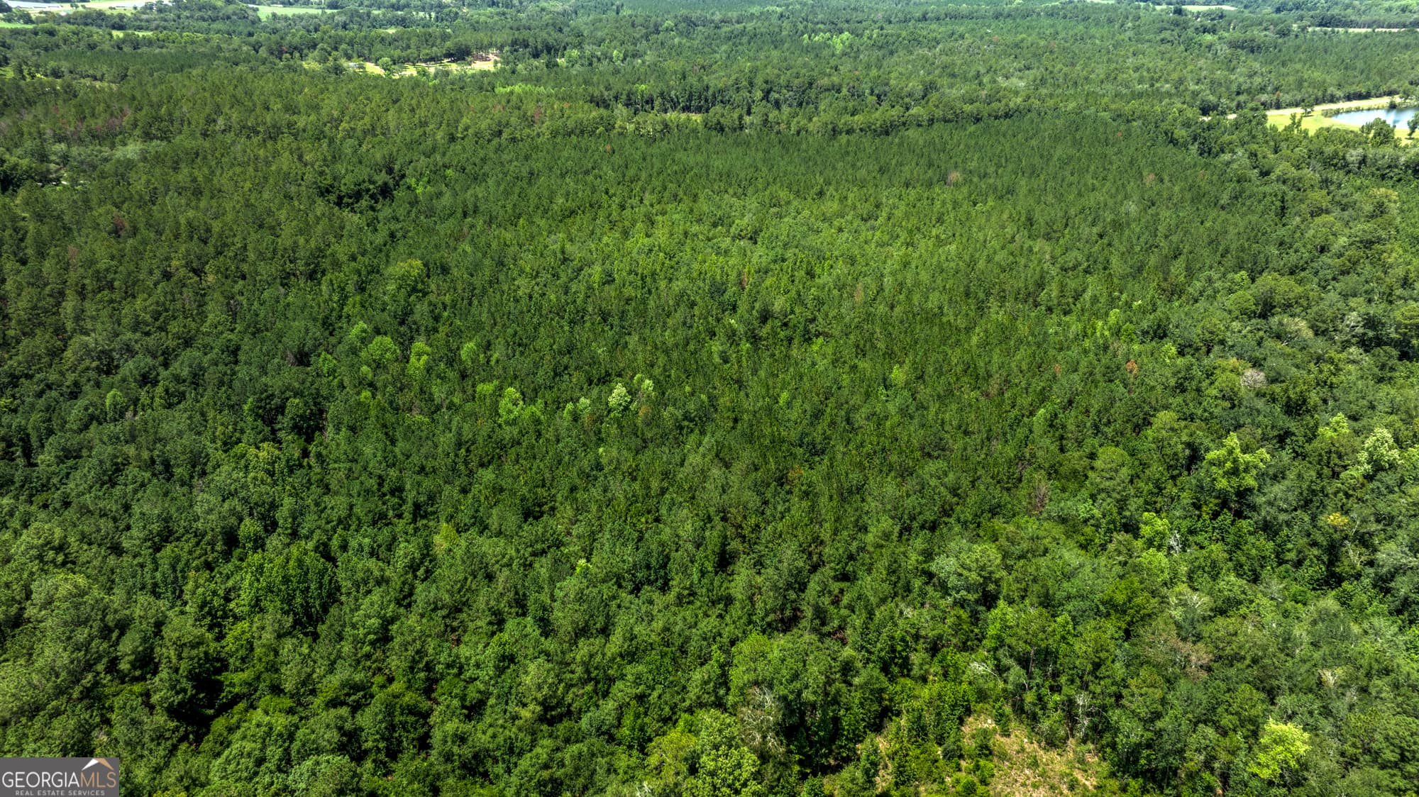 agriculture for sale at 0 GA Highway 169, Claxton, GA 30417 — photo 7