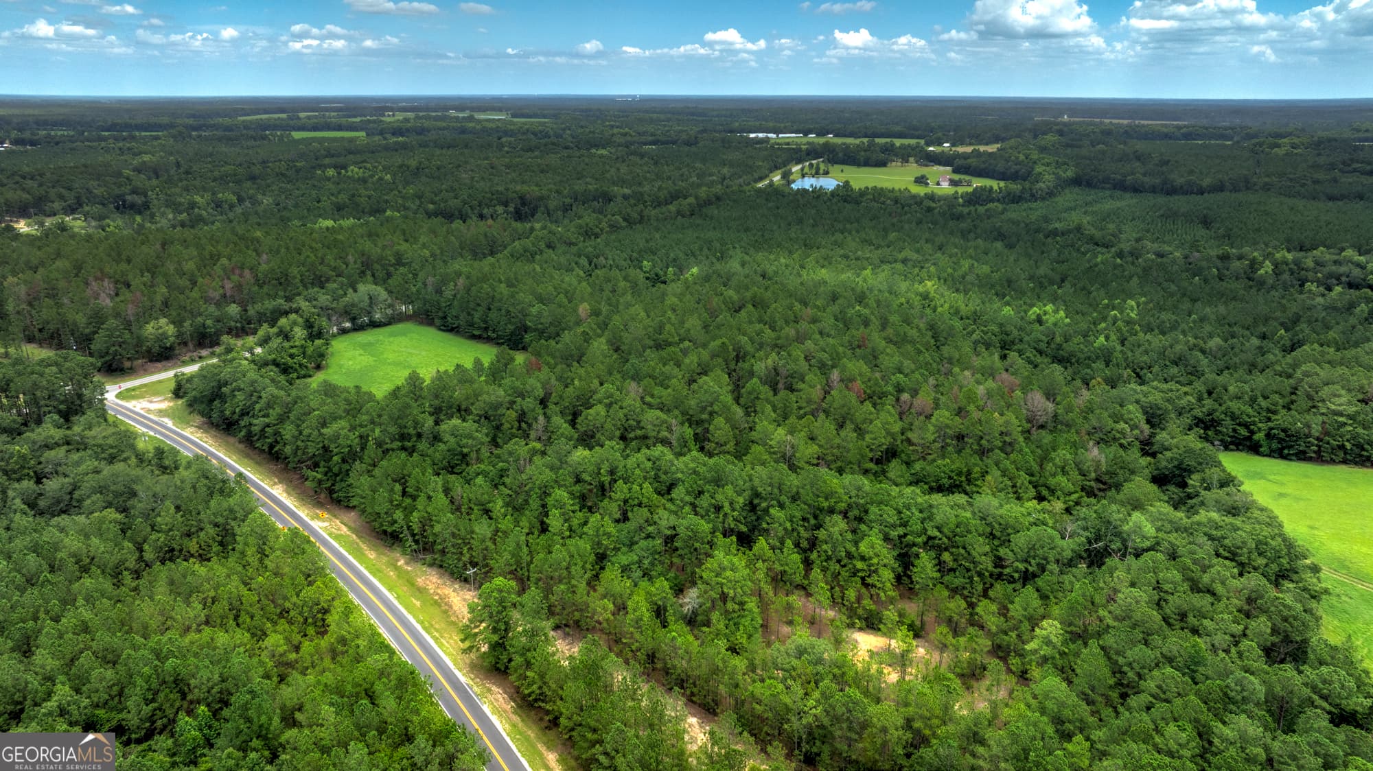 agriculture for sale at 0 GA Highway 169, Claxton, GA 30417 — photo 3