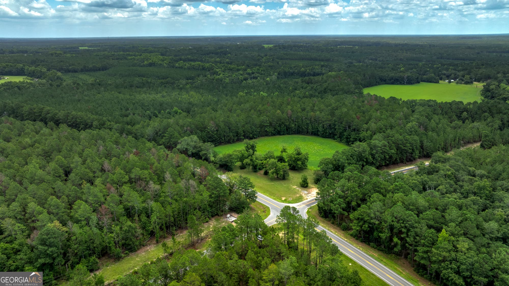 agriculture for sale at 0 GA Highway 169, Claxton, GA 30417