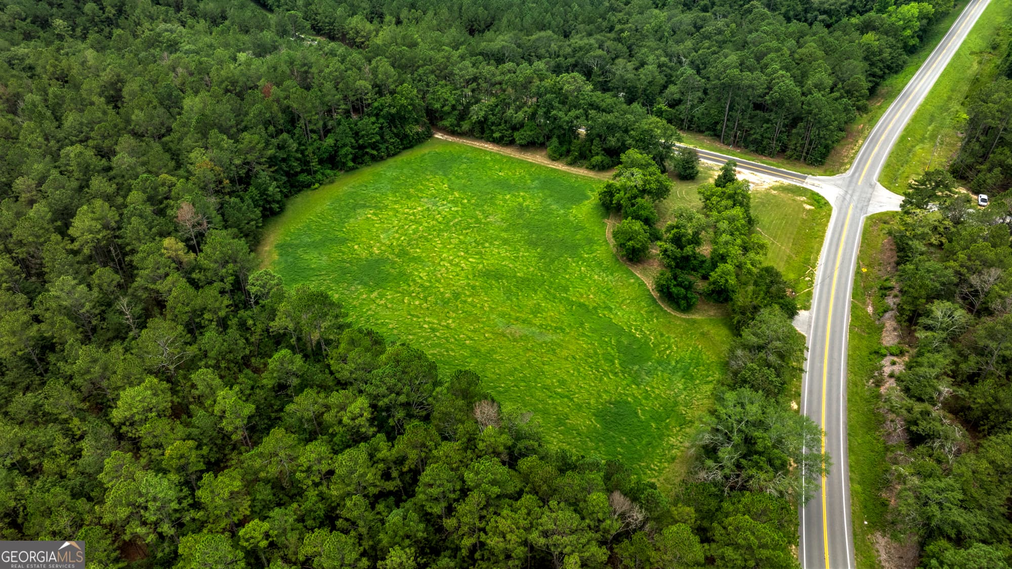 agriculture for sale at 0 GA Highway 169, Claxton, GA 30417 — photo 5