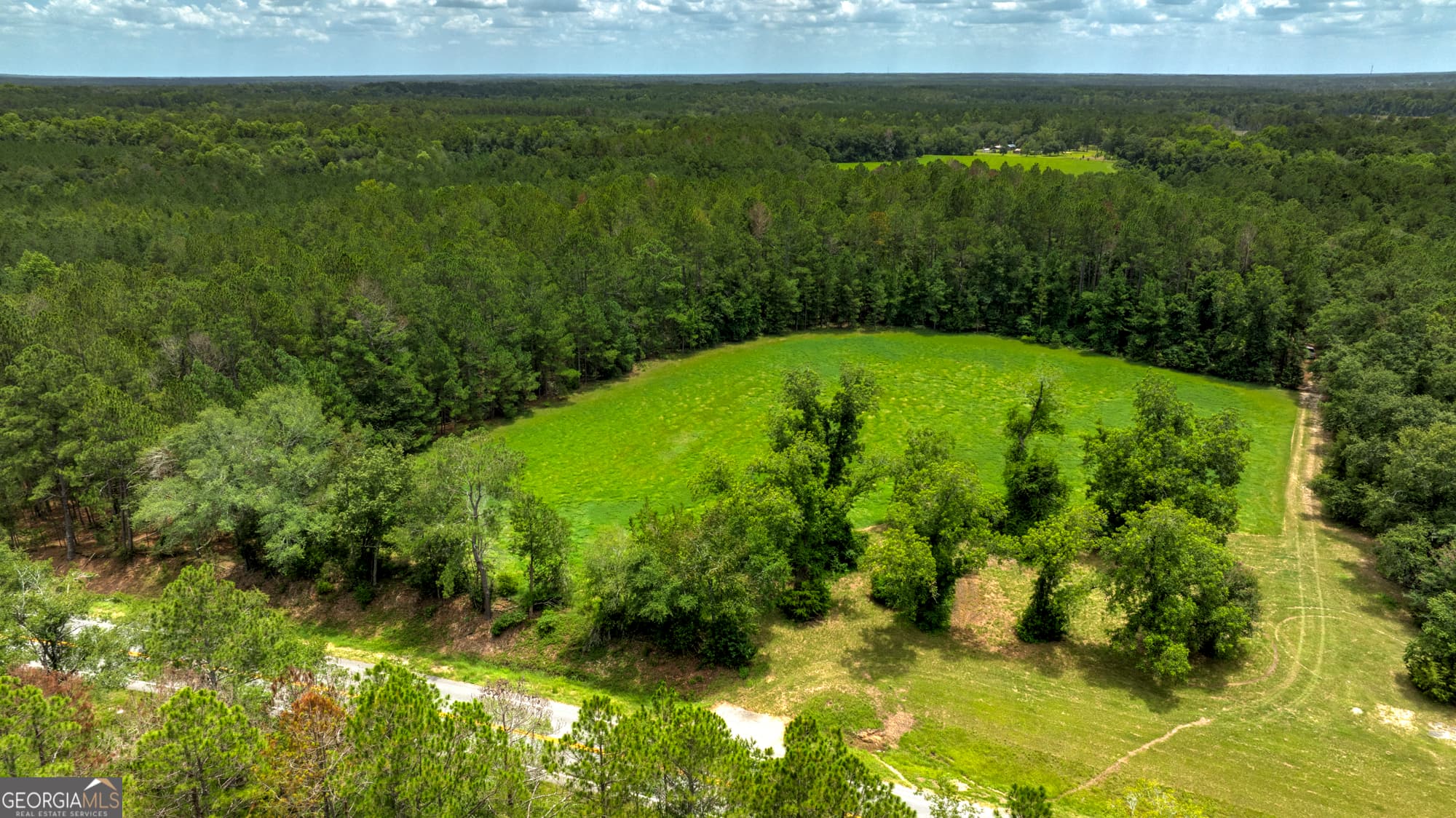 agriculture for sale at 0 GA Highway 169, Claxton, GA 30417 — photo 9