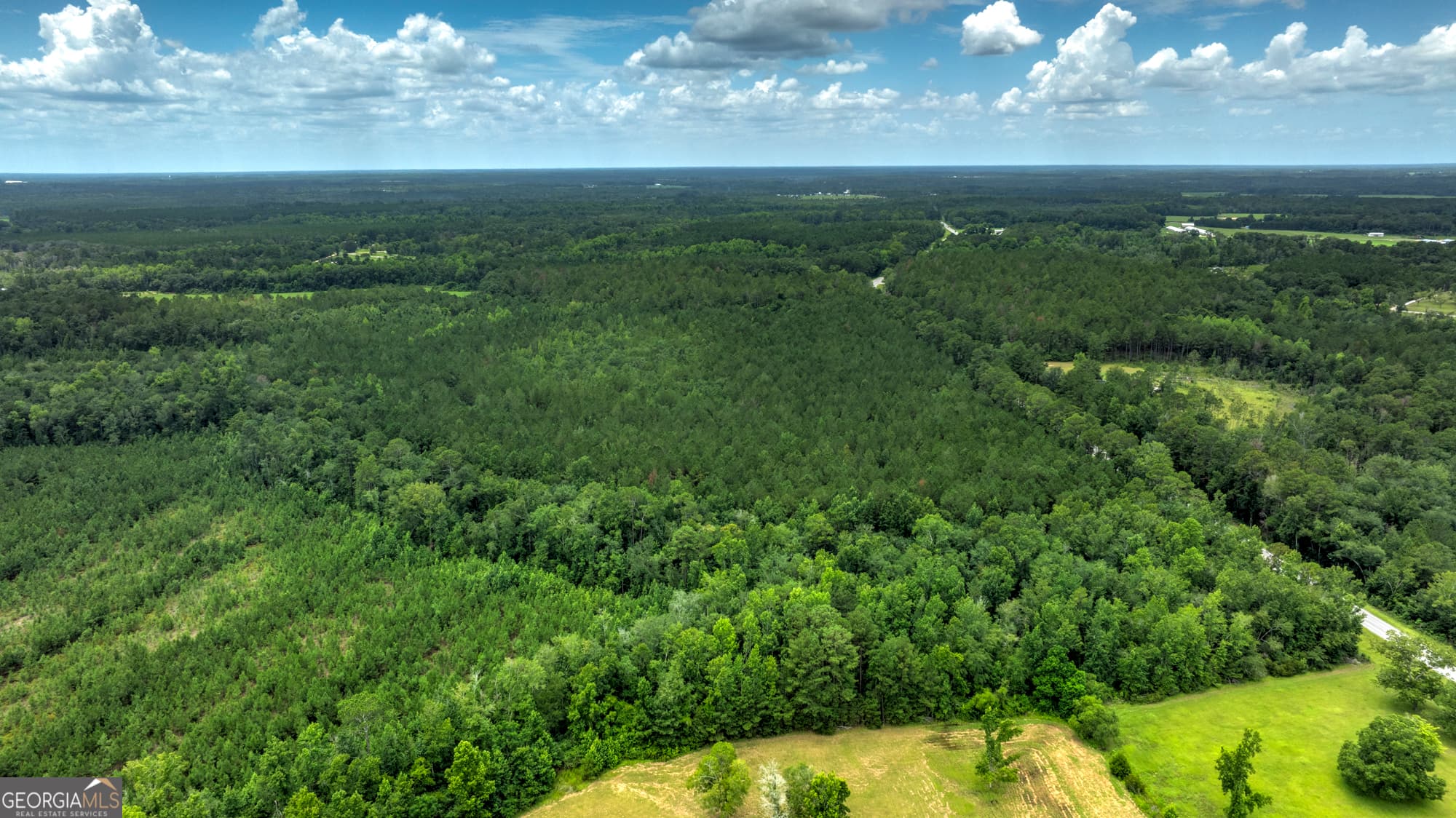 agriculture for sale at 0 GA Highway 169, Claxton, GA 30417 — photo 10