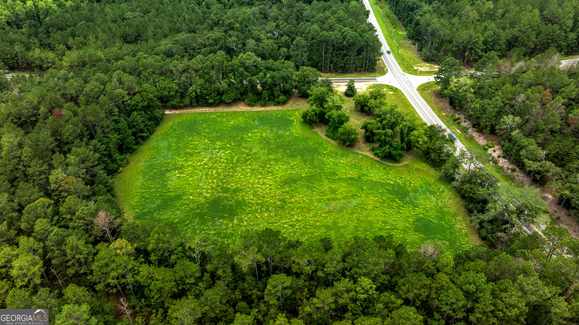 agriculture for sale at 0 GA Highway 169, Claxton, GA 30417 — photo 4