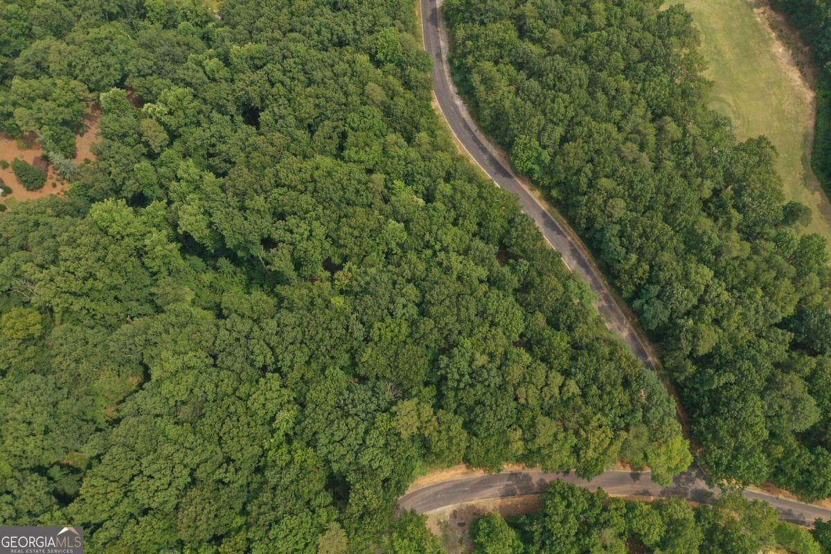 residential lot for sale at 1613 Duchess Lane, Clarkesville, GA 30523 — photo 2