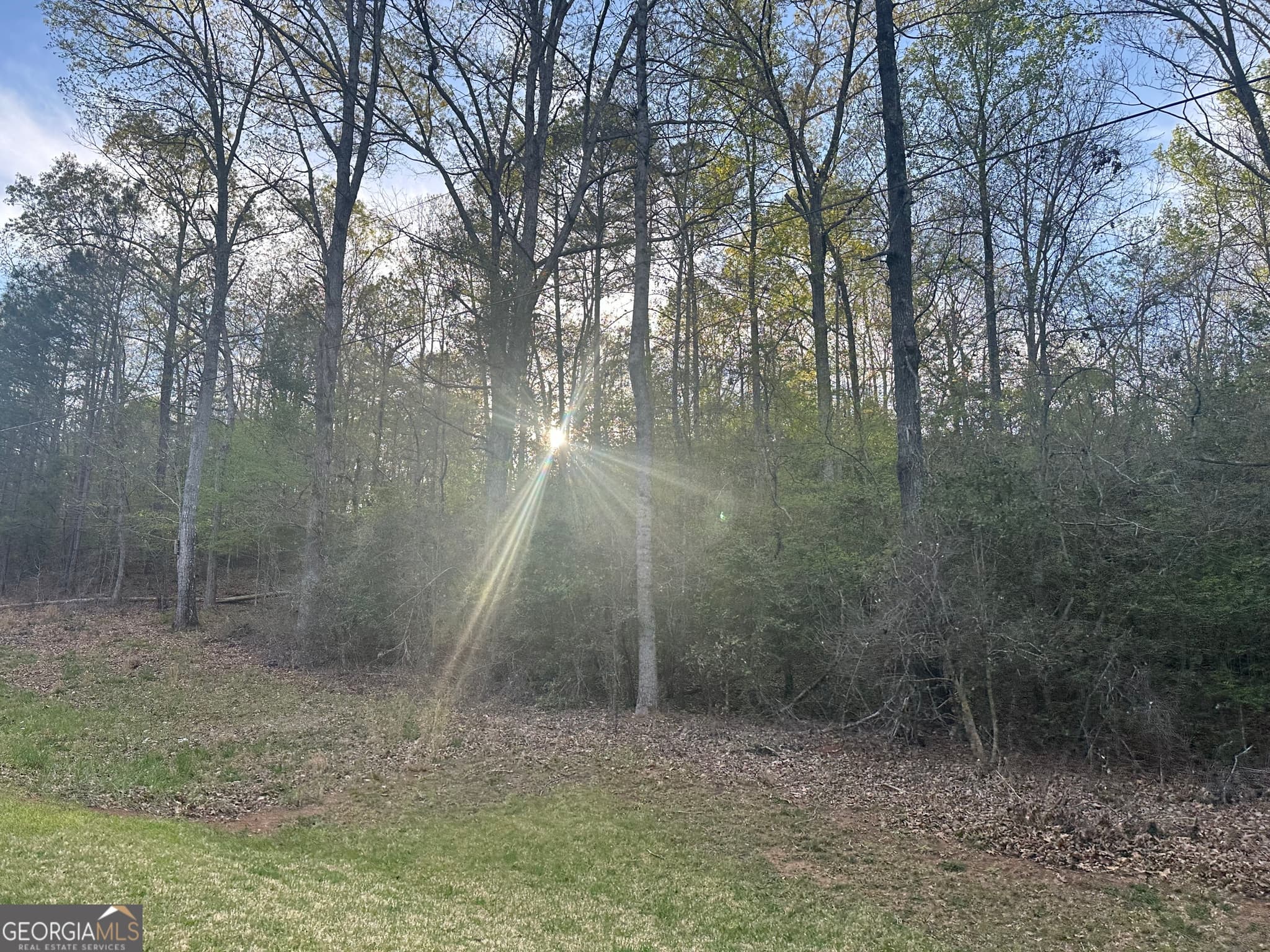 unimproved land for sale at 1141 Skipstone Drive, Watkinsville, GA 30677 — photo 2