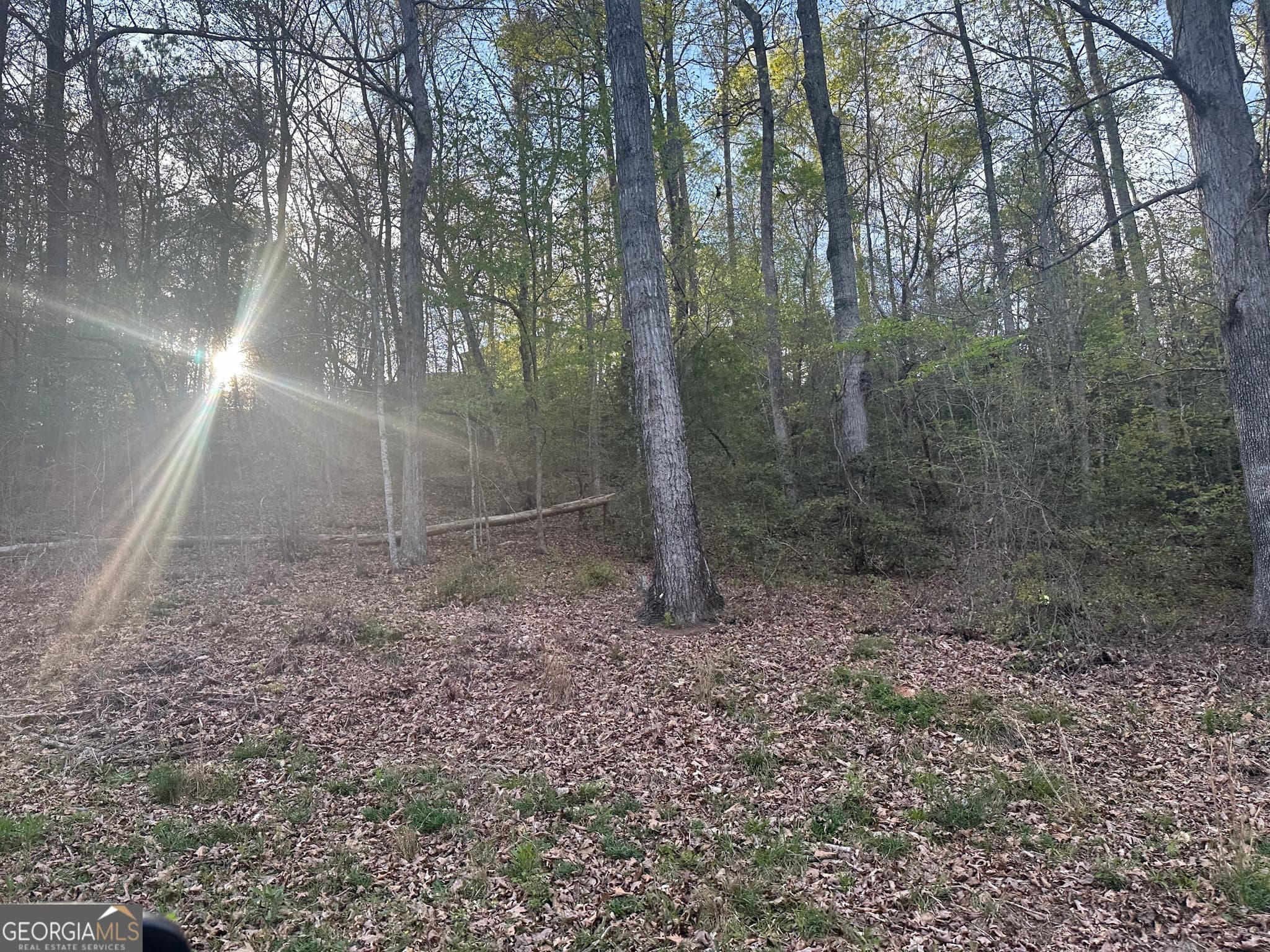 unimproved land for sale at 1141 Skipstone Drive, Watkinsville, GA 30677 — photo 3