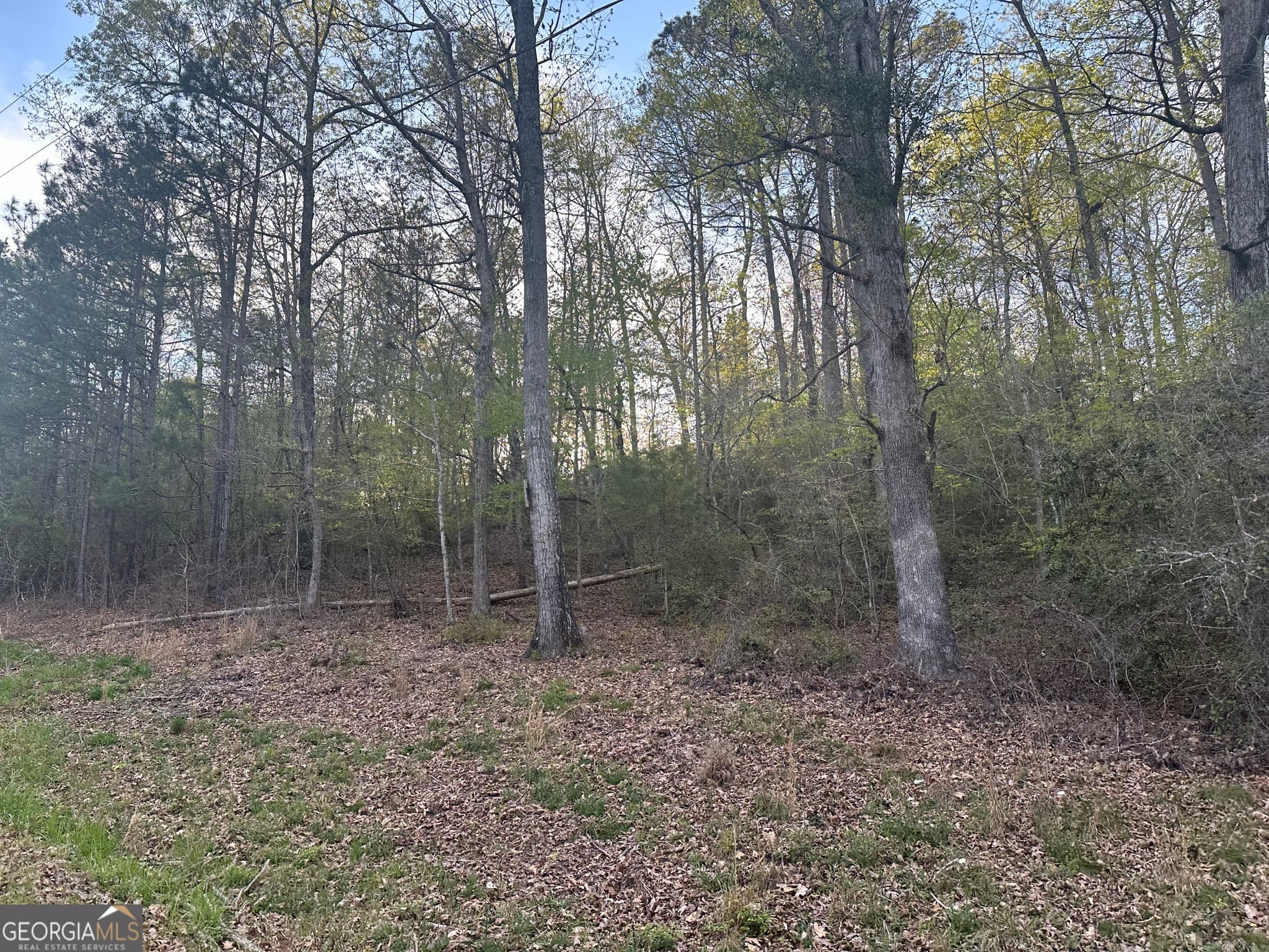 unimproved land for sale at 1141 Skipstone Drive, Watkinsville, GA 30677 — photo 1 of 5
