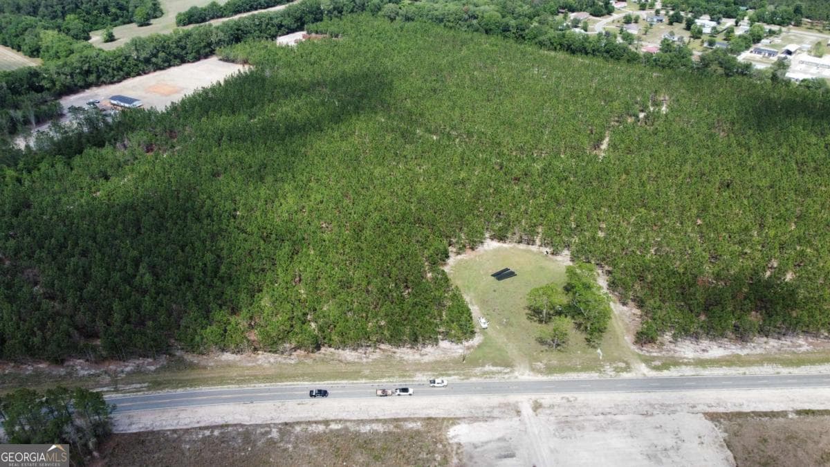 unimproved land for sale at 5294 Owens Road, Blackshear, GA 31516 — photo 2