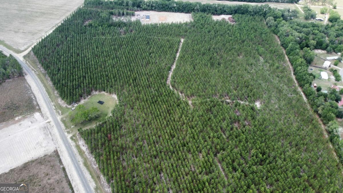 unimproved land for sale at 5294 Owens Road, Blackshear, GA 31516 — photo 6