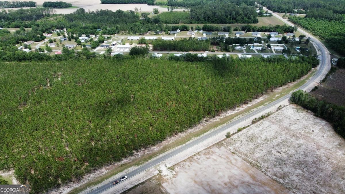 unimproved land for sale at 5294 Owens Road, Blackshear, GA 31516 — photo 3