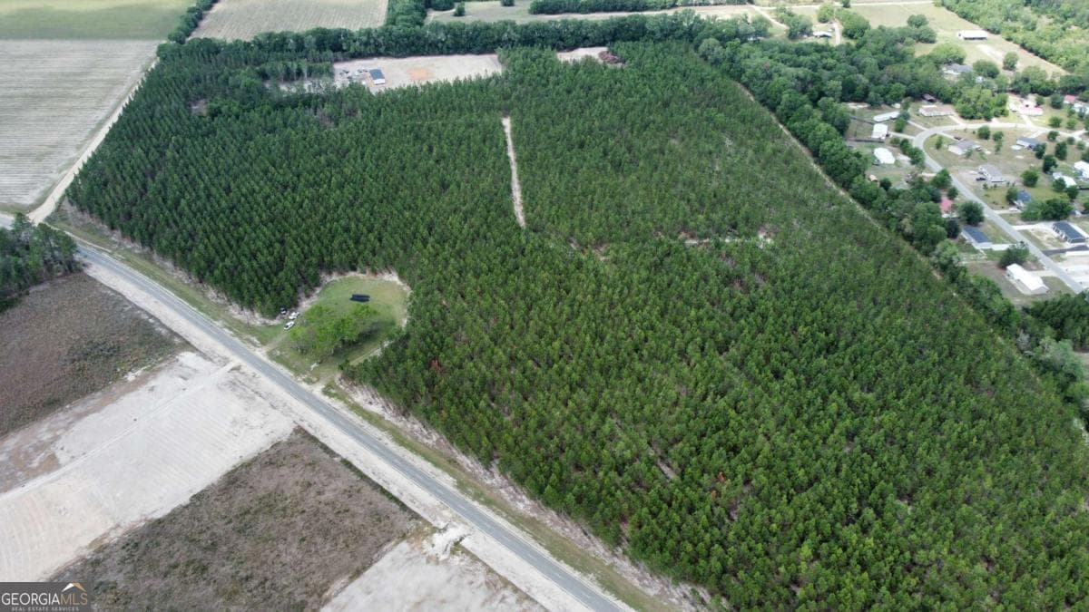 unimproved land for sale at 5294 Owens Road, Blackshear, GA 31516 — photo 5