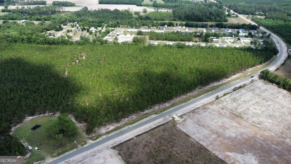 unimproved land for sale at 5294 Owens Road, Blackshear, GA 31516 — photo 4