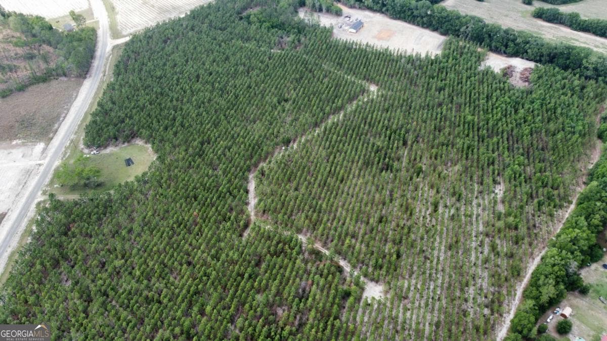 unimproved land for sale at 5294 Owens Road, Blackshear, GA 31516 — photo 8